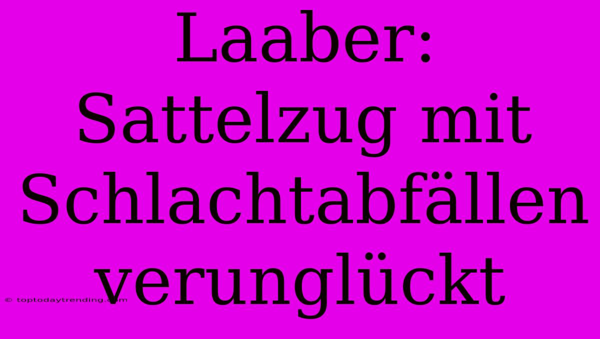 Laaber: Sattelzug Mit Schlachtabfällen Verunglückt