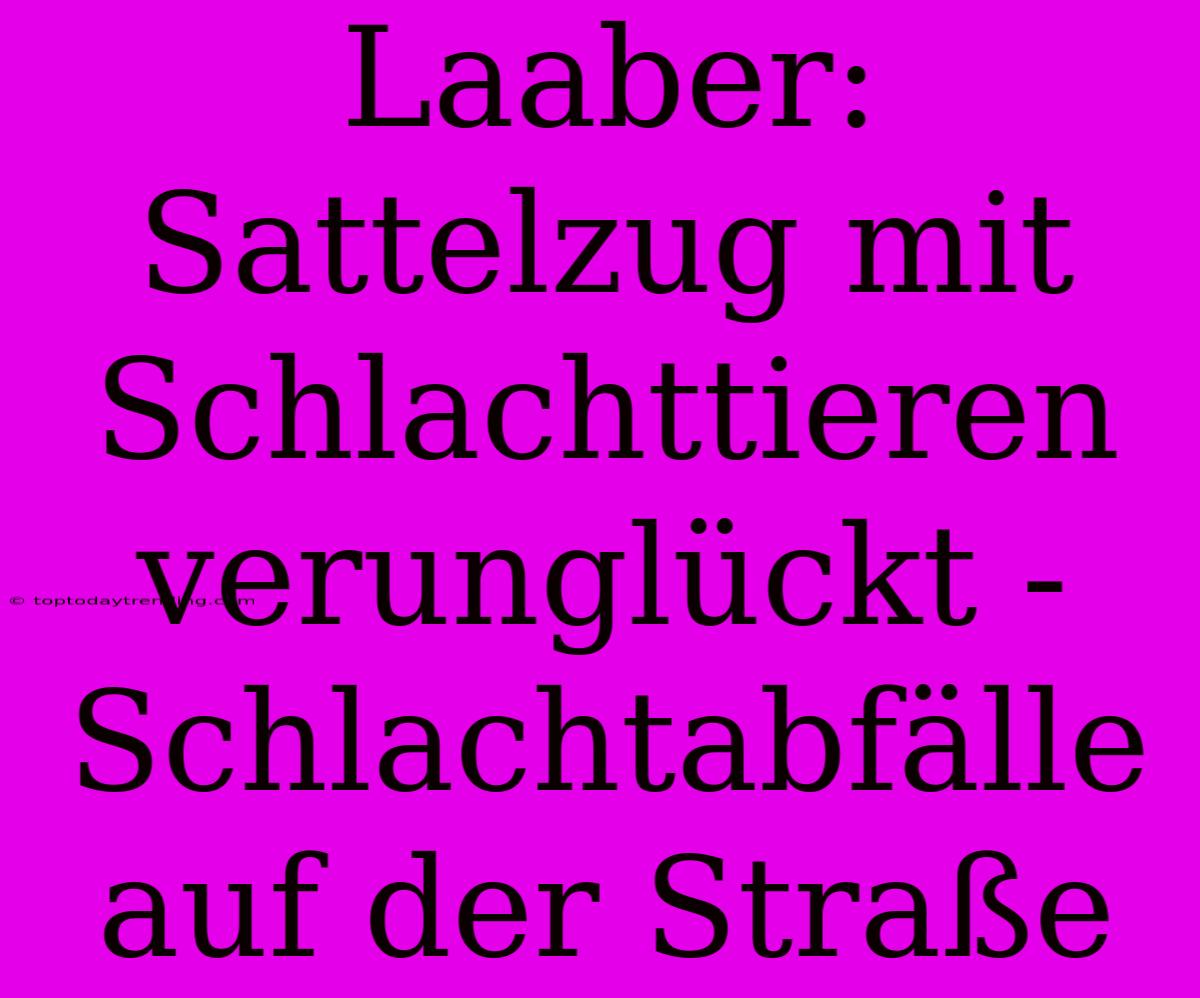 Laaber: Sattelzug Mit Schlachttieren Verunglückt - Schlachtabfälle Auf Der Straße