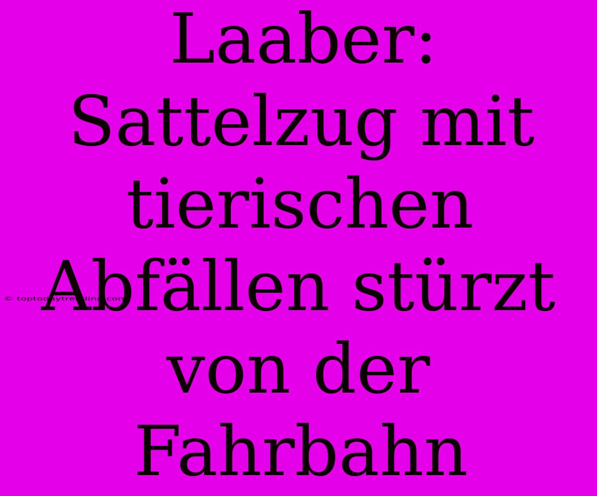 Laaber: Sattelzug Mit Tierischen Abfällen Stürzt Von Der Fahrbahn