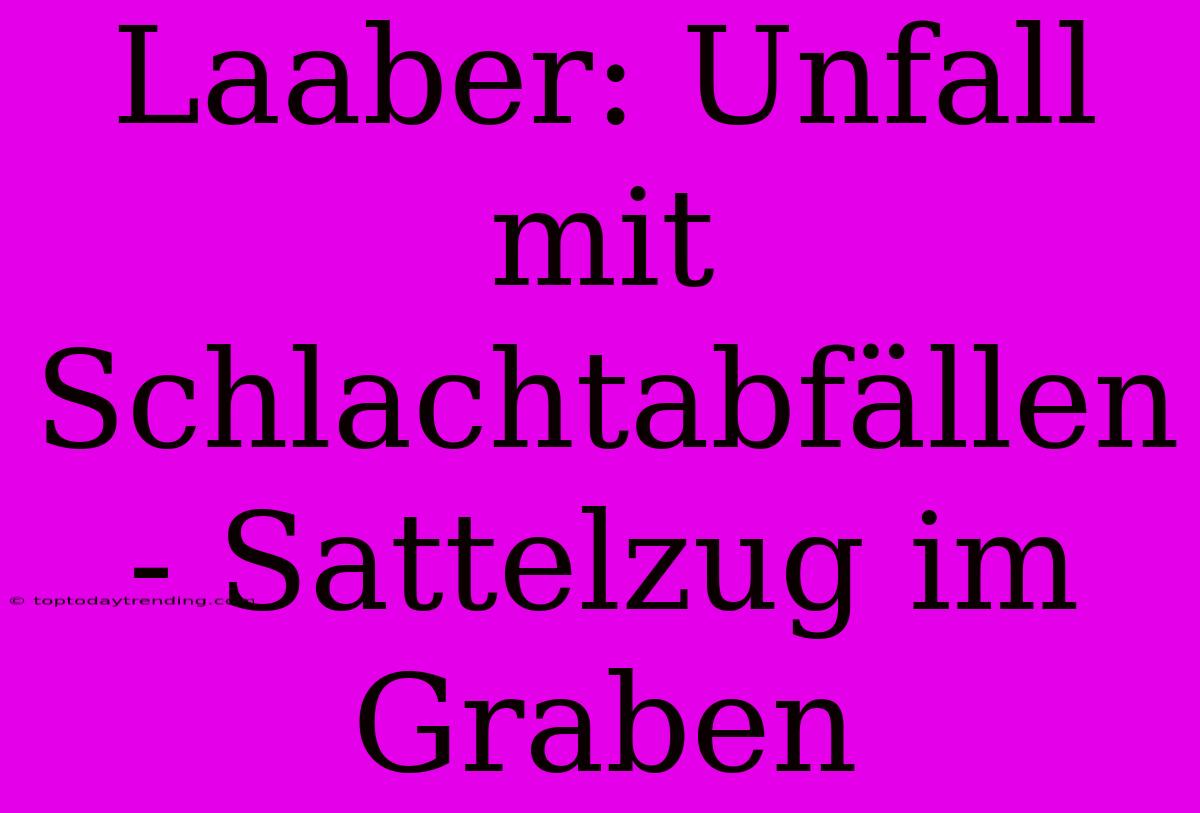 Laaber: Unfall Mit Schlachtabfällen - Sattelzug Im Graben