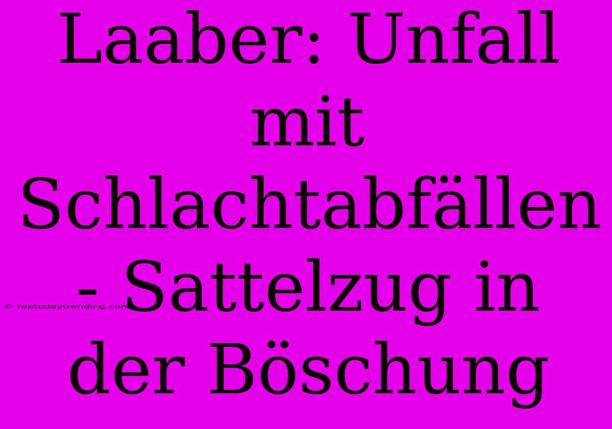 Laaber: Unfall Mit Schlachtabfällen - Sattelzug In Der Böschung