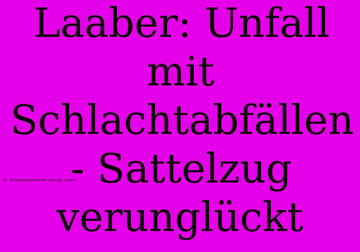 Laaber: Unfall Mit Schlachtabfällen - Sattelzug Verunglückt