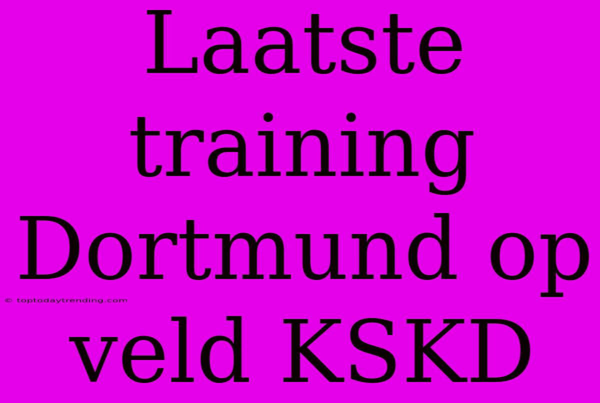 Laatste Training Dortmund Op Veld KSKD