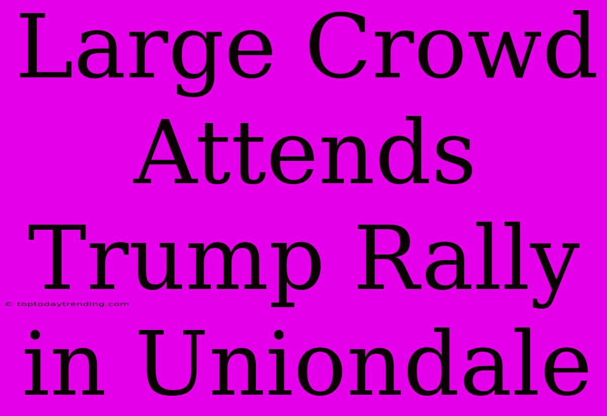 Large Crowd Attends Trump Rally In Uniondale