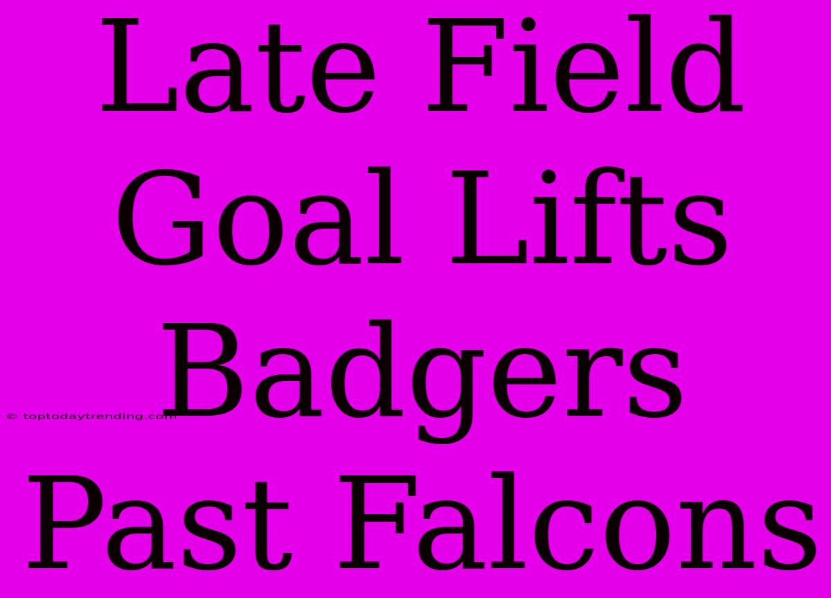 Late Field Goal Lifts Badgers Past Falcons