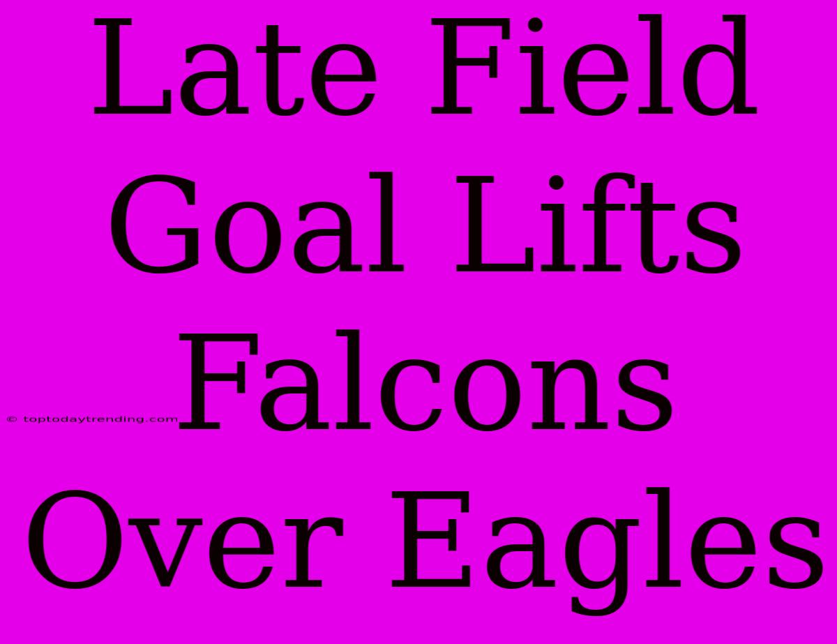 Late Field Goal Lifts Falcons Over Eagles