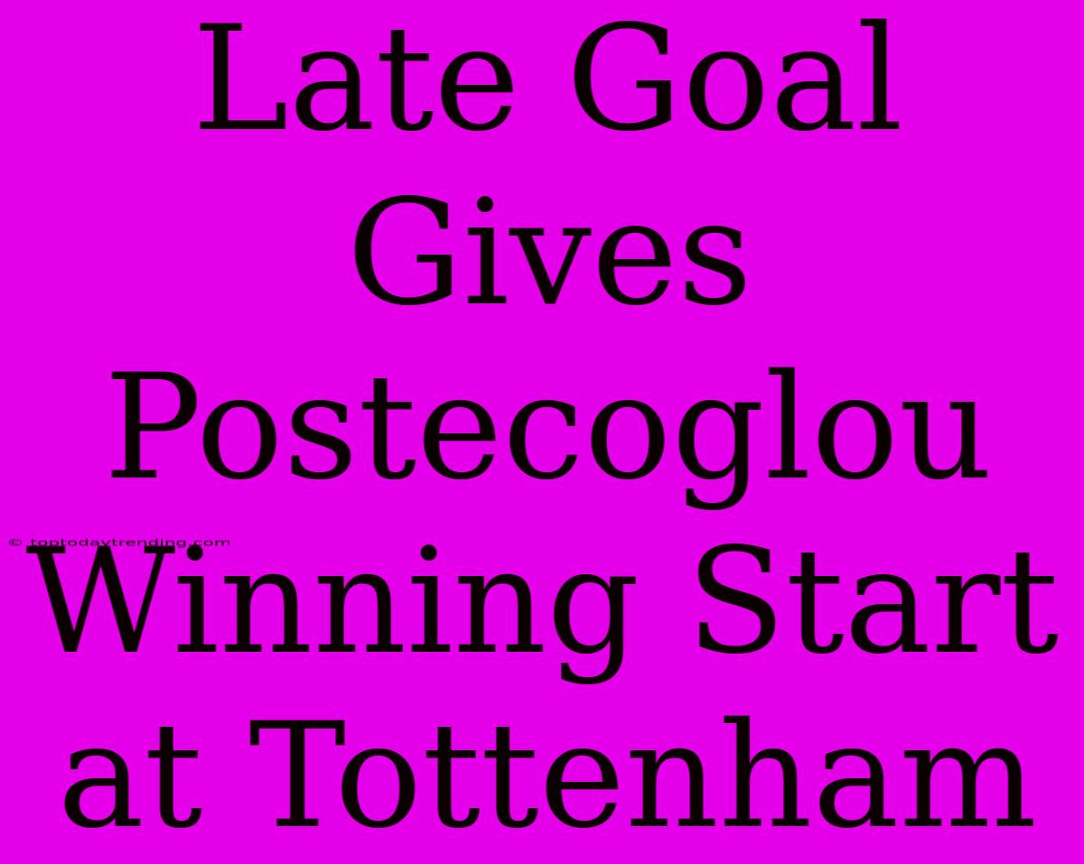 Late Goal Gives Postecoglou Winning Start At Tottenham