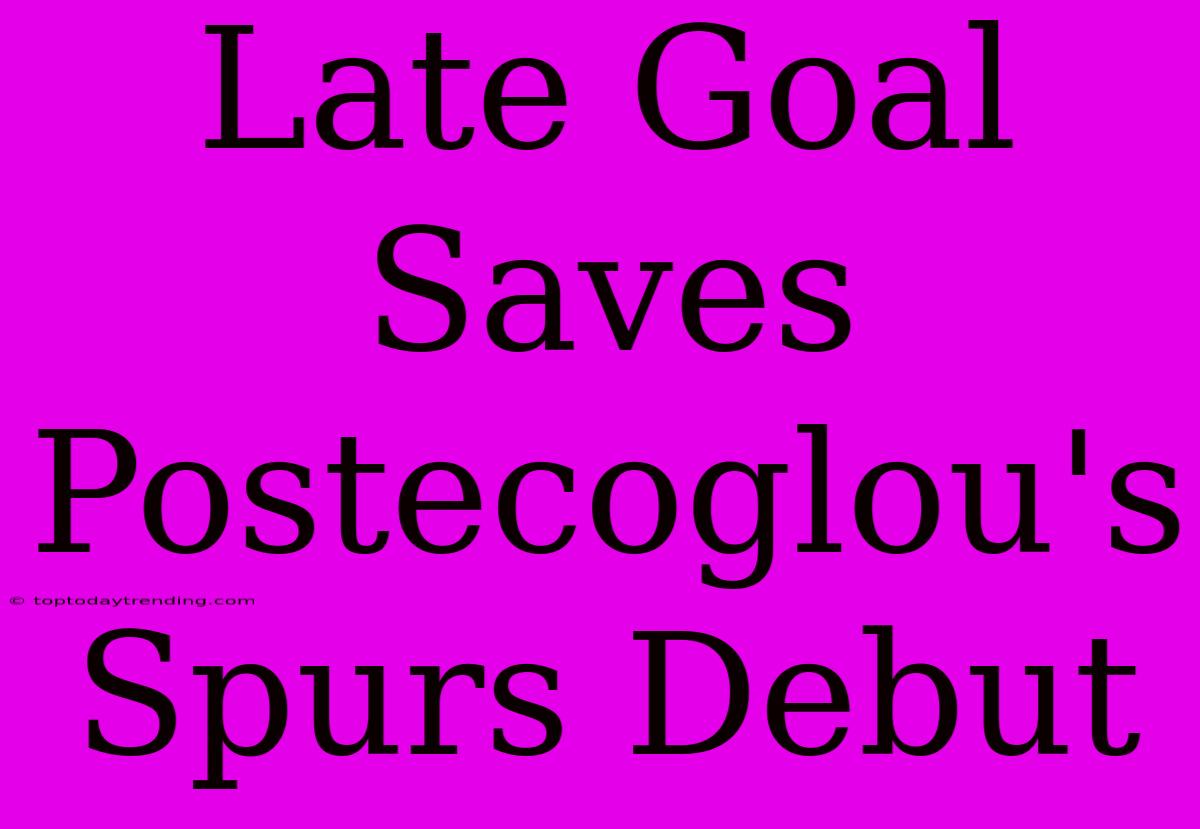 Late Goal Saves Postecoglou's Spurs Debut