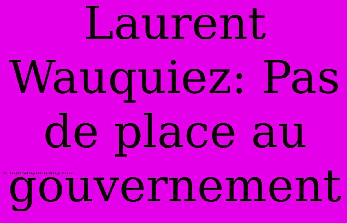 Laurent Wauquiez: Pas De Place Au Gouvernement