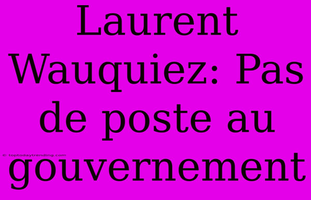 Laurent Wauquiez: Pas De Poste Au Gouvernement