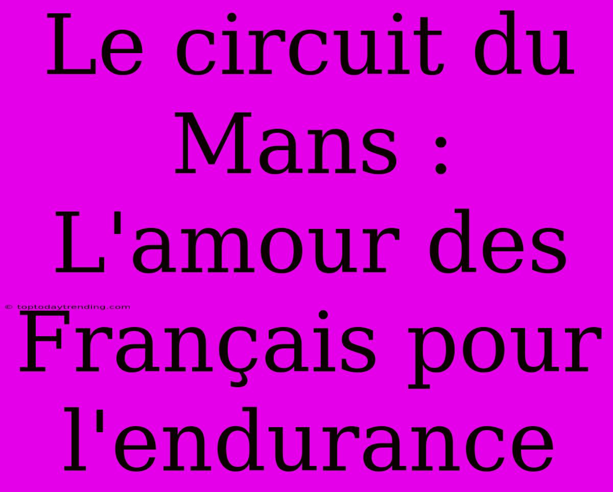 Le Circuit Du Mans : L'amour Des Français Pour L'endurance