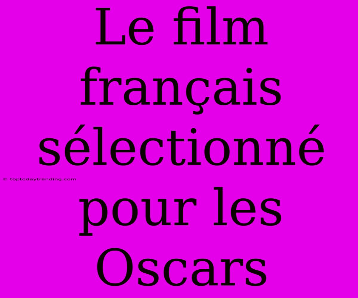 Le Film Français Sélectionné Pour Les Oscars