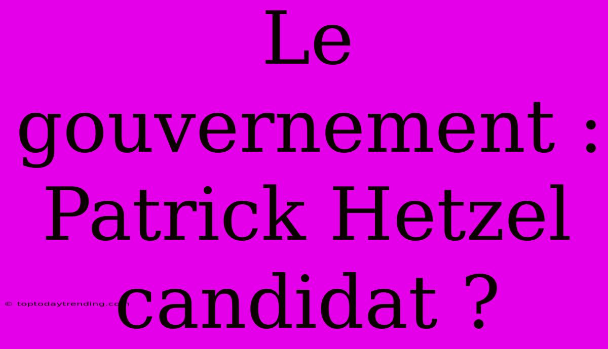 Le Gouvernement : Patrick Hetzel Candidat ?