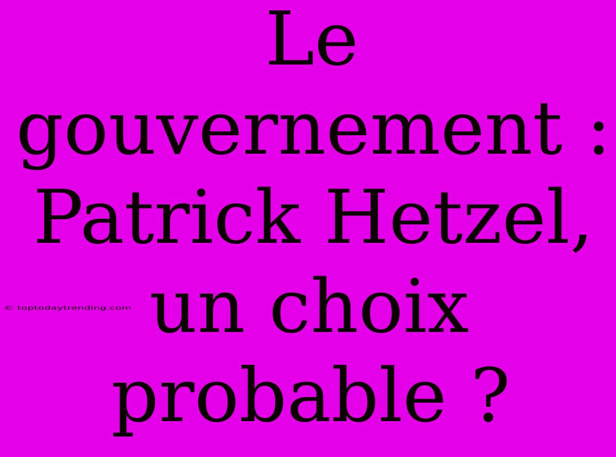 Le Gouvernement : Patrick Hetzel, Un Choix Probable ?