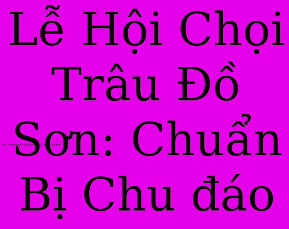 Lễ Hội Chọi Trâu Đồ Sơn: Chuẩn Bị Chu Đáo