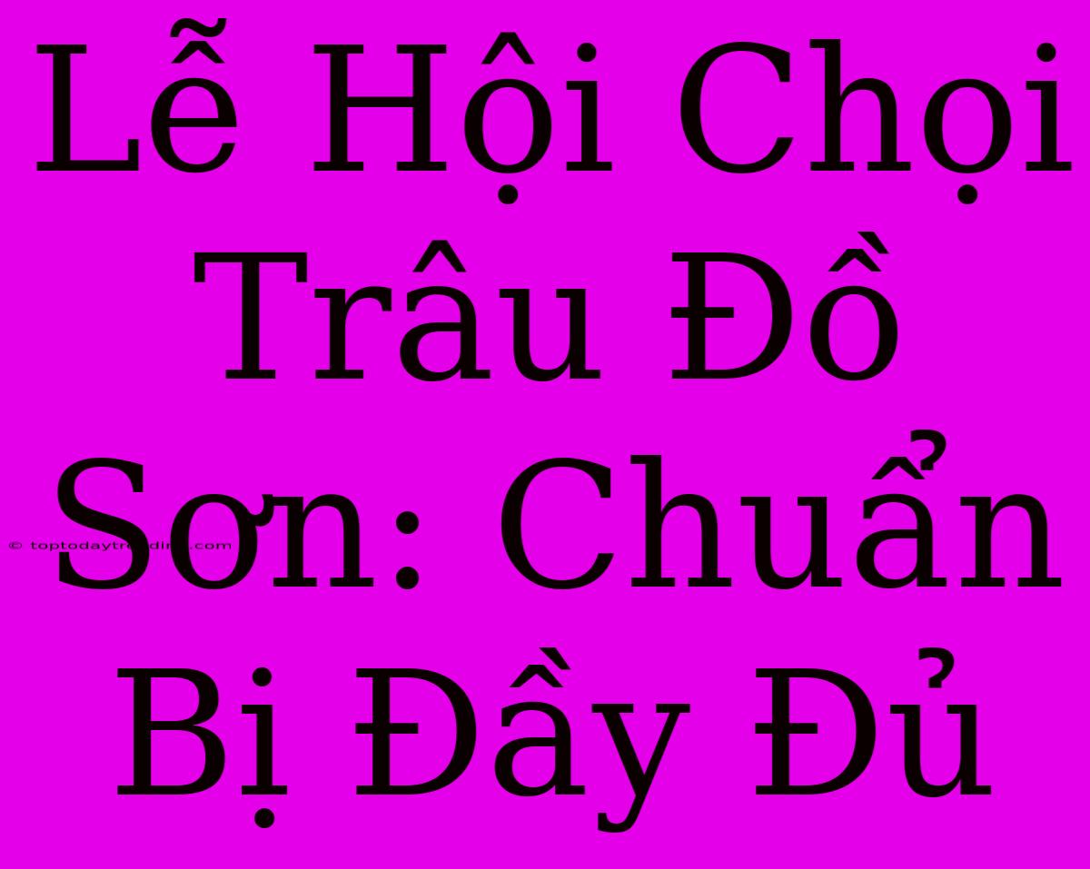 Lễ Hội Chọi Trâu Đồ Sơn: Chuẩn Bị Đầy Đủ