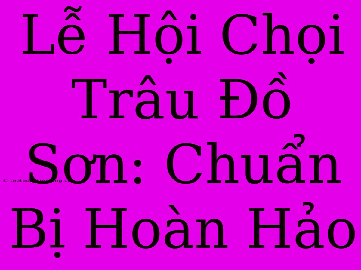 Lễ Hội Chọi Trâu Đồ Sơn: Chuẩn Bị Hoàn Hảo