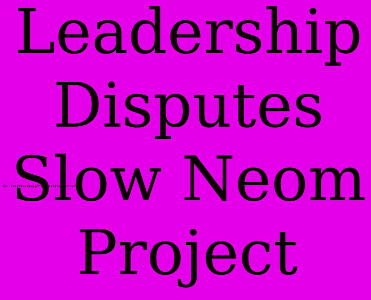 Leadership Disputes Slow Neom Project