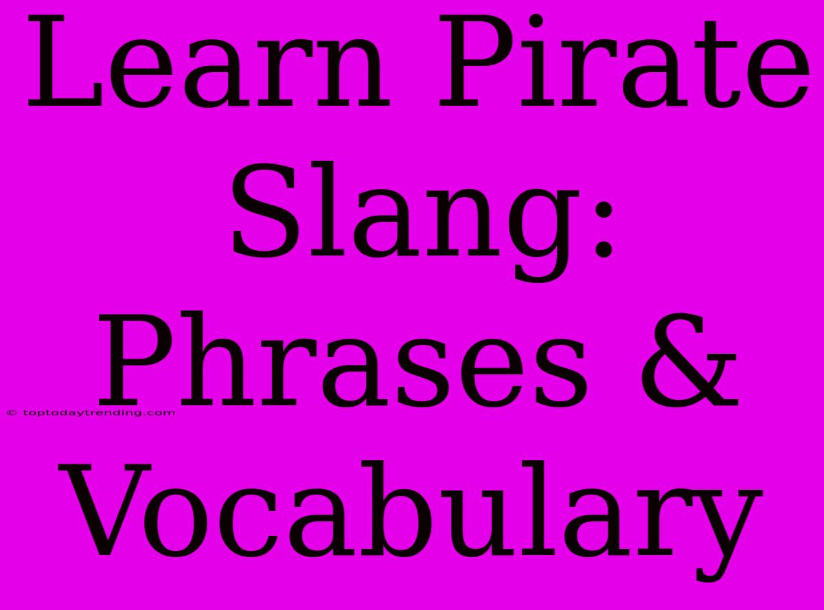 Learn Pirate Slang: Phrases & Vocabulary