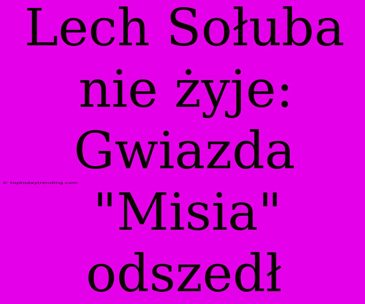 Lech Sołuba Nie Żyje: Gwiazda 