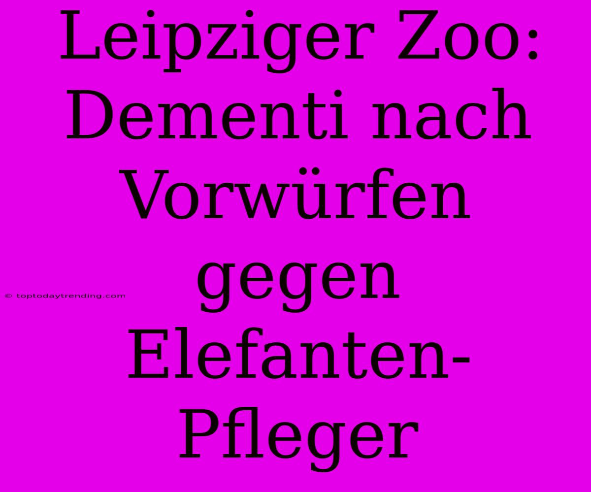 Leipziger Zoo: Dementi Nach Vorwürfen Gegen Elefanten-Pfleger