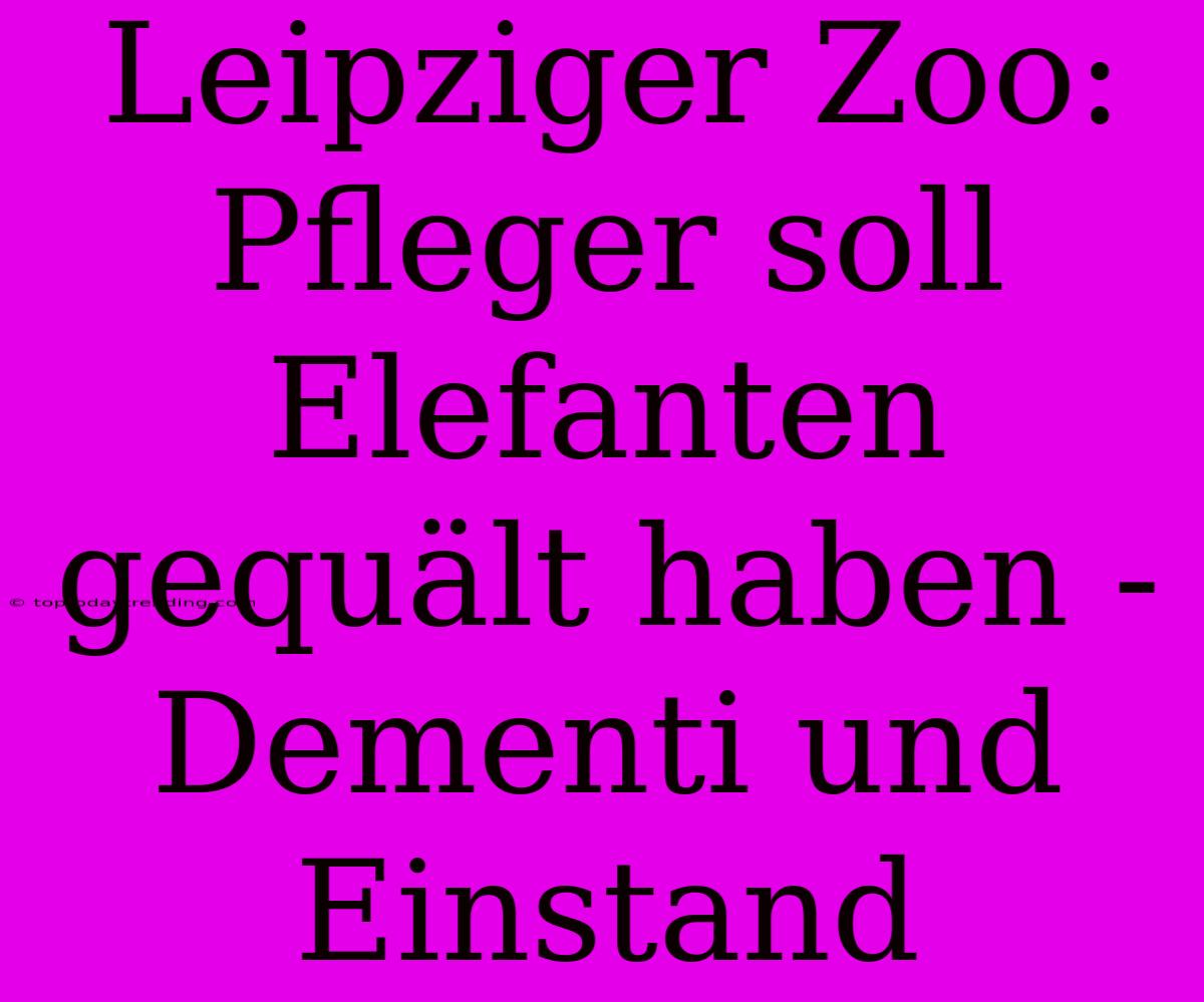 Leipziger Zoo: Pfleger Soll Elefanten Gequält Haben - Dementi Und Einstand