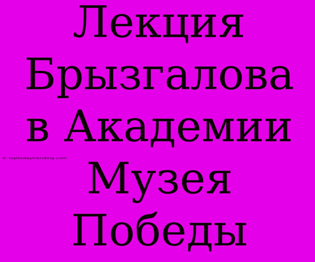 Лекция Брызгалова В Академии Музея Победы