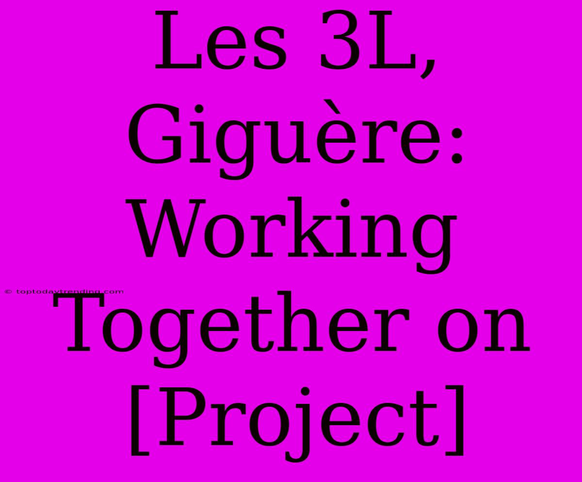 Les 3L, Giguère:  Working Together On [Project]