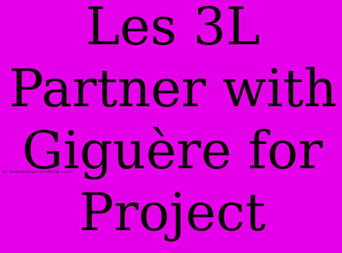 Les 3L Partner With Giguère For Project