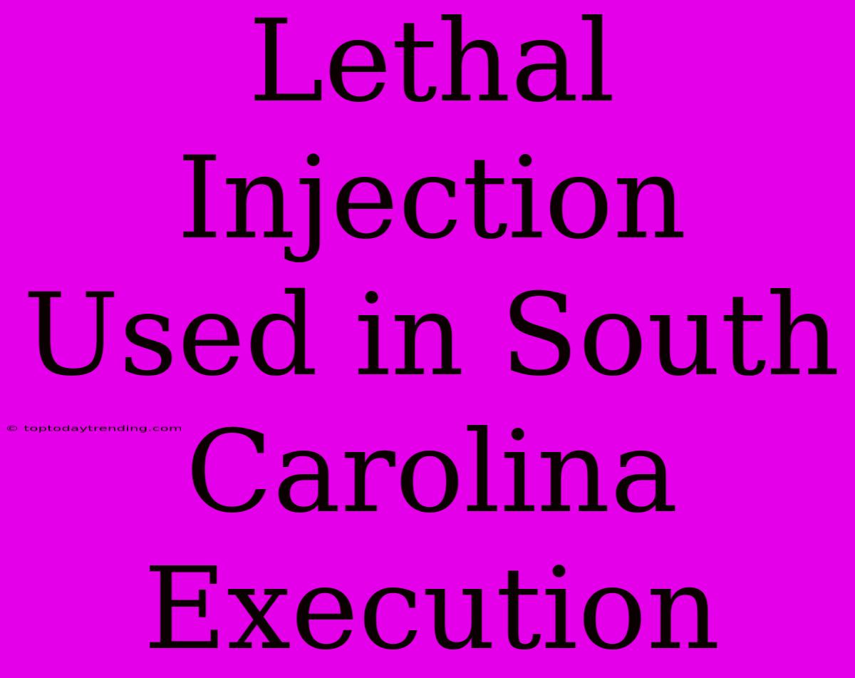 Lethal Injection Used In South Carolina Execution