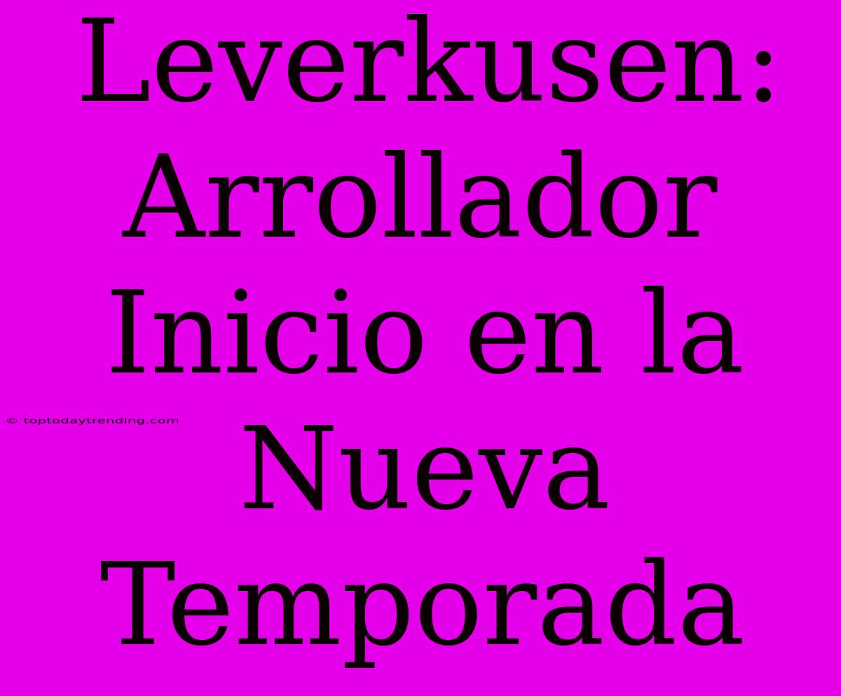 Leverkusen: Arrollador Inicio En La Nueva Temporada