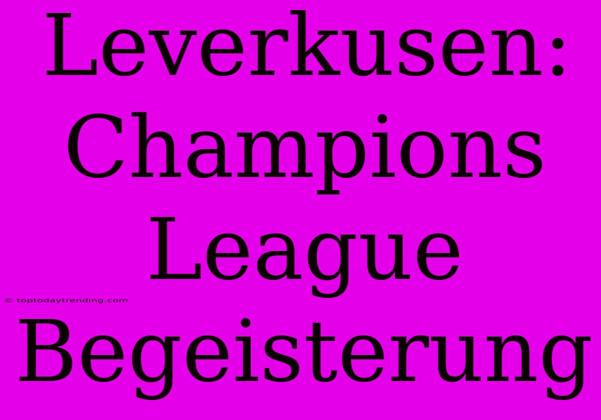 Leverkusen: Champions League Begeisterung