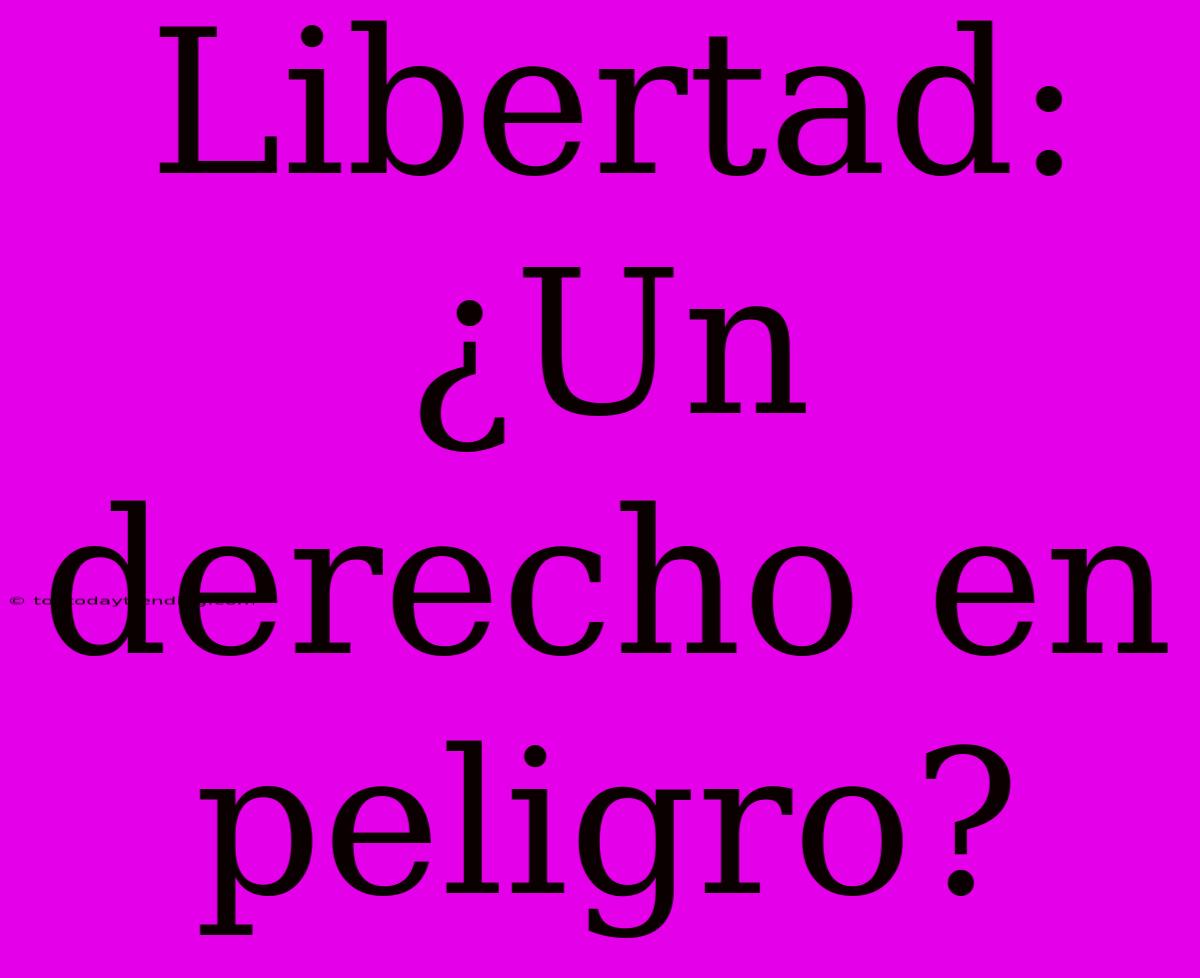 Libertad: ¿Un Derecho En Peligro?