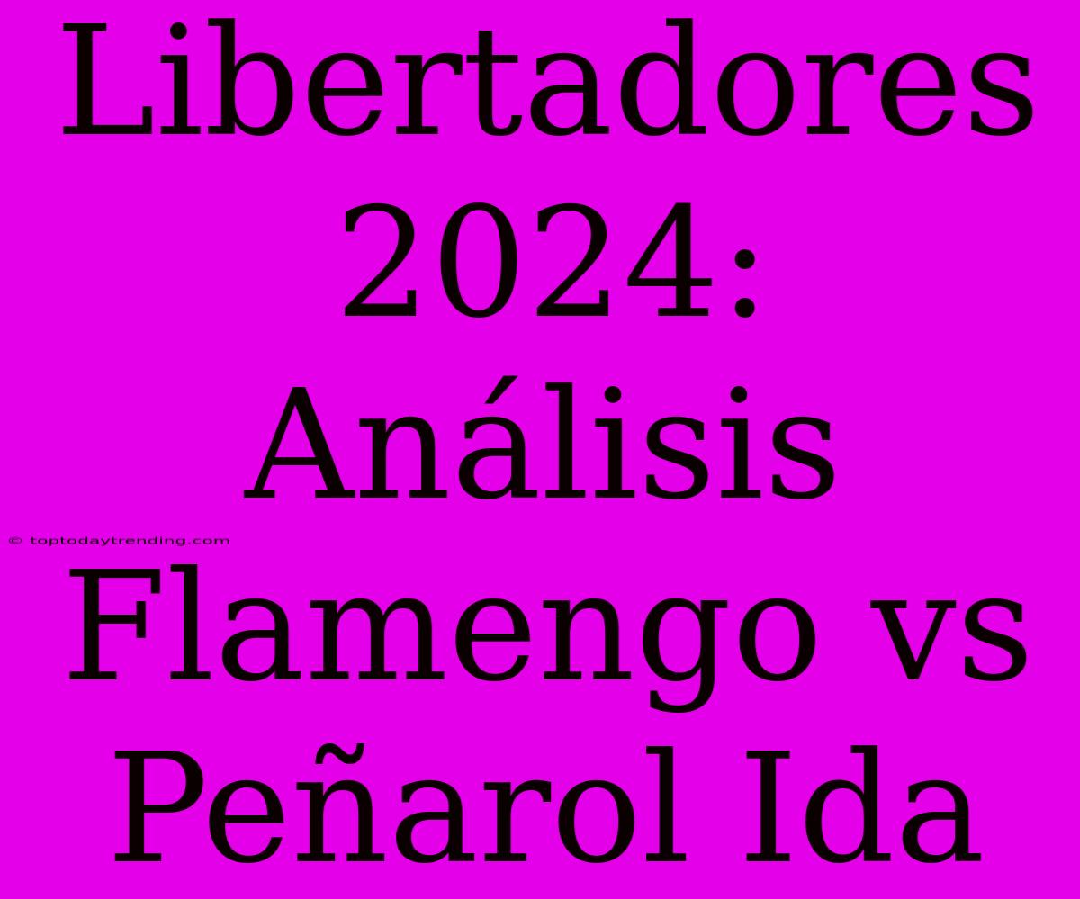 Libertadores 2024: Análisis Flamengo Vs Peñarol Ida