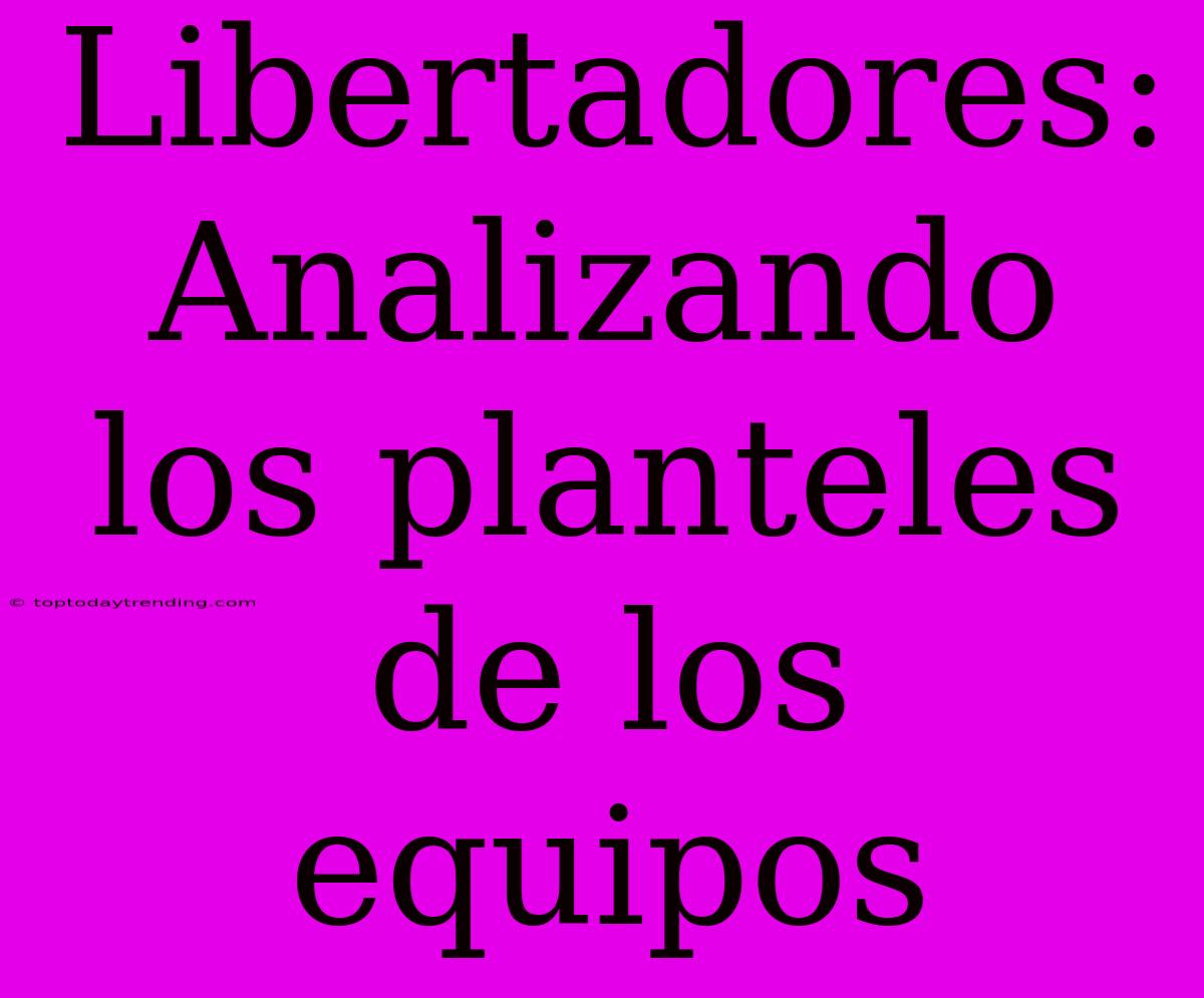 Libertadores: Analizando Los Planteles De Los Equipos