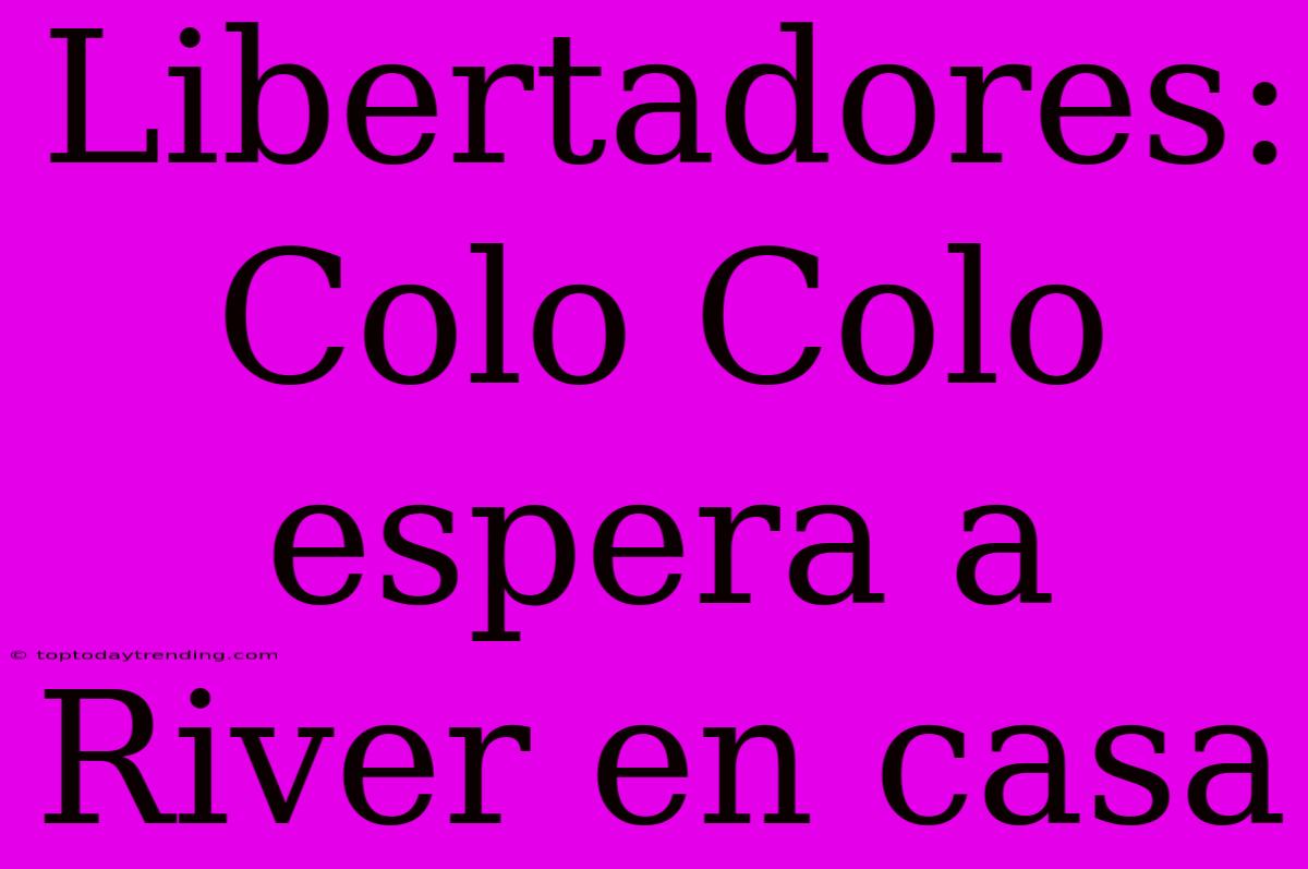 Libertadores: Colo Colo Espera A River En Casa