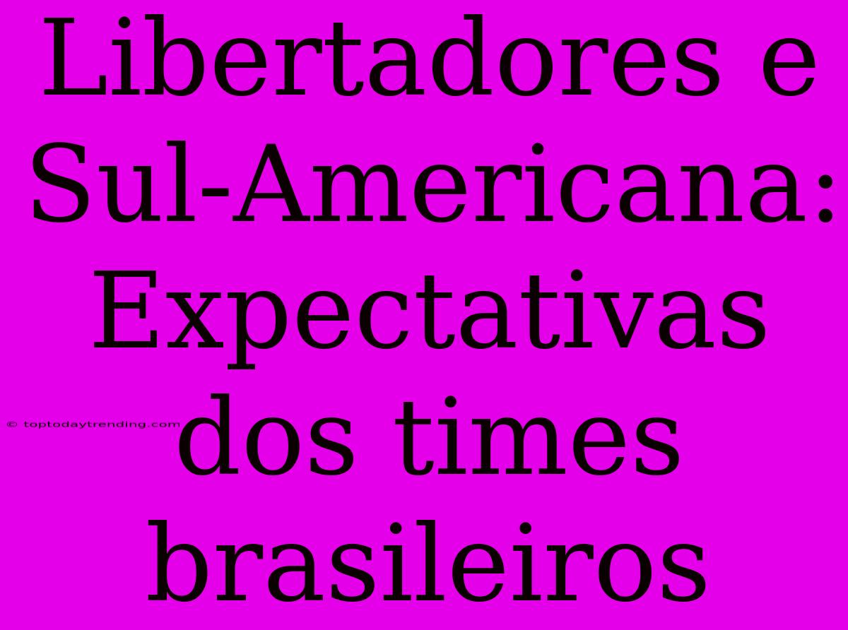 Libertadores E Sul-Americana: Expectativas Dos Times Brasileiros