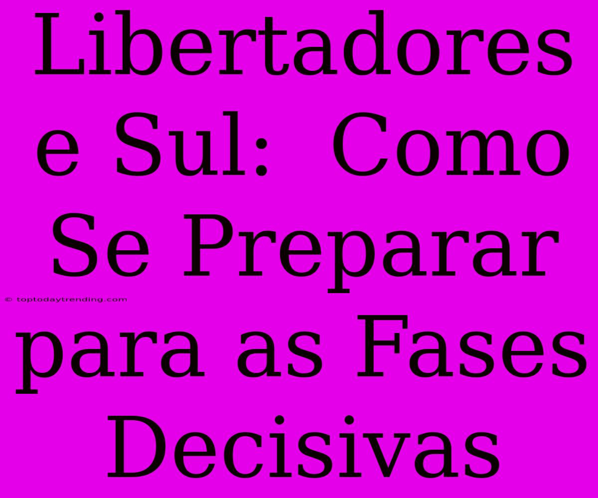 Libertadores E Sul:  Como Se Preparar Para As Fases Decisivas