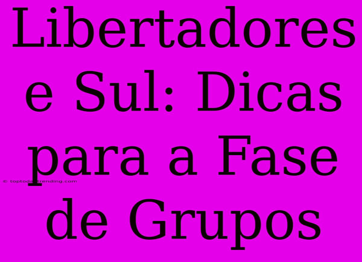 Libertadores E Sul: Dicas Para A Fase De Grupos