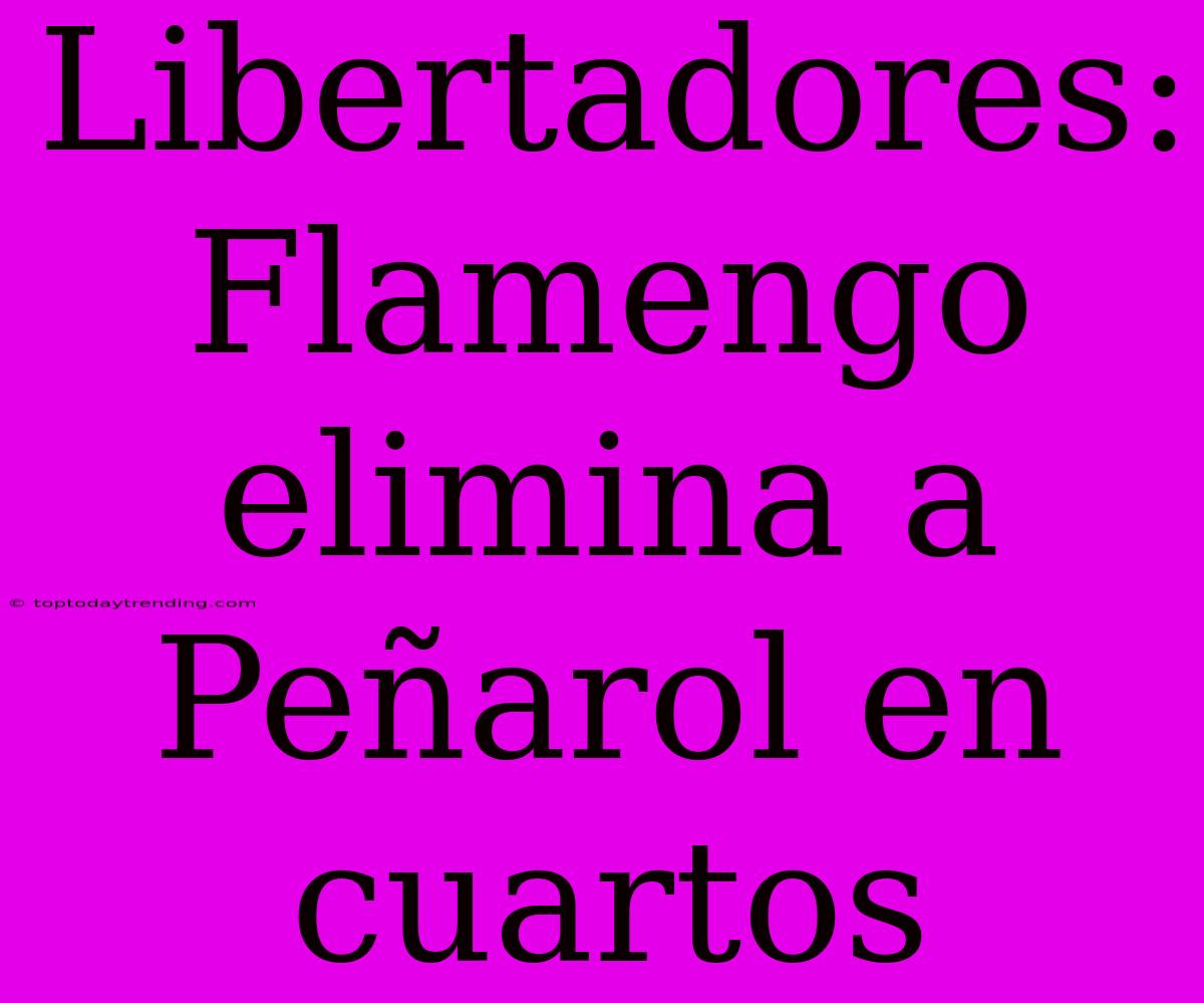 Libertadores: Flamengo Elimina A Peñarol En Cuartos
