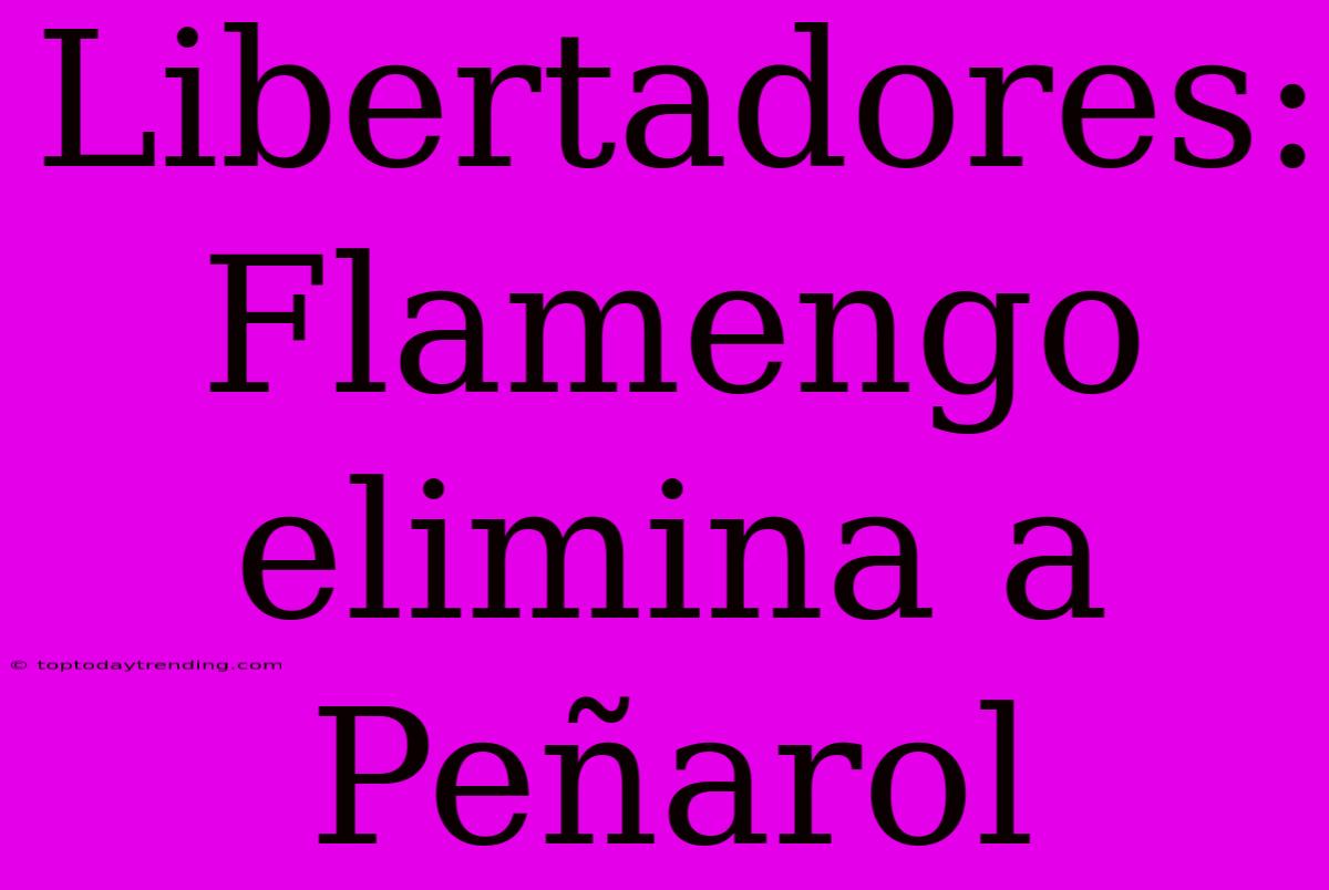 Libertadores: Flamengo Elimina A Peñarol