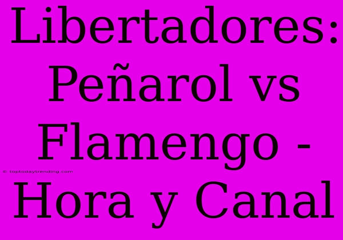 Libertadores: Peñarol Vs Flamengo - Hora Y Canal