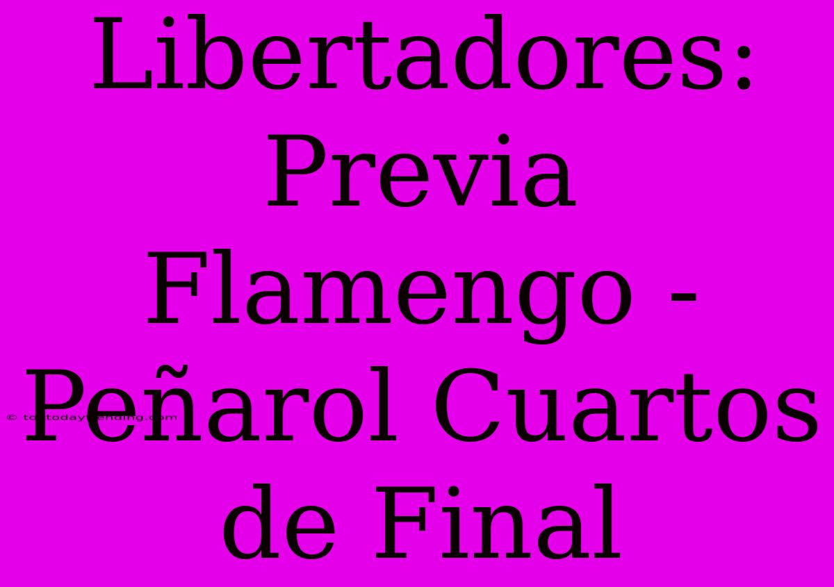 Libertadores: Previa Flamengo - Peñarol Cuartos De Final