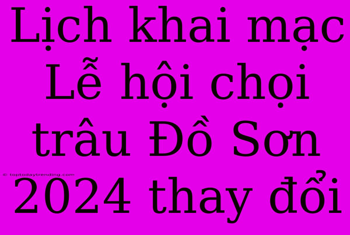 Lịch Khai Mạc Lễ Hội Chọi Trâu Đồ Sơn 2024 Thay Đổi