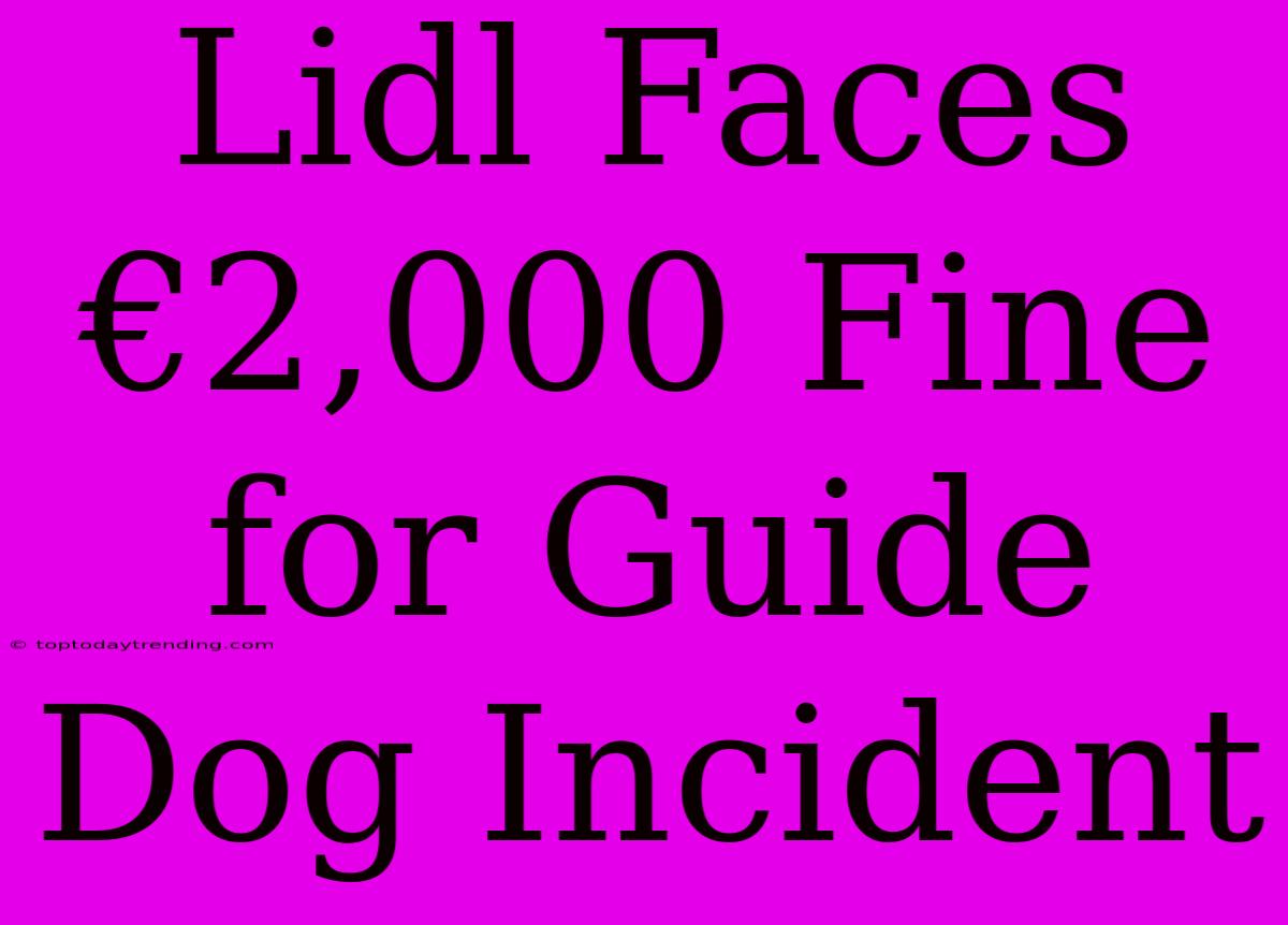 Lidl Faces €2,000 Fine For Guide Dog Incident