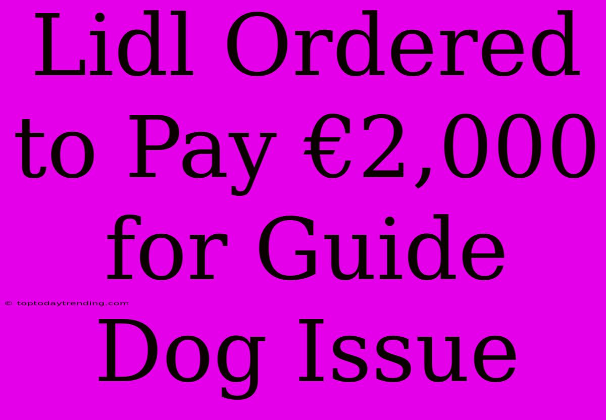 Lidl Ordered To Pay €2,000 For Guide Dog Issue