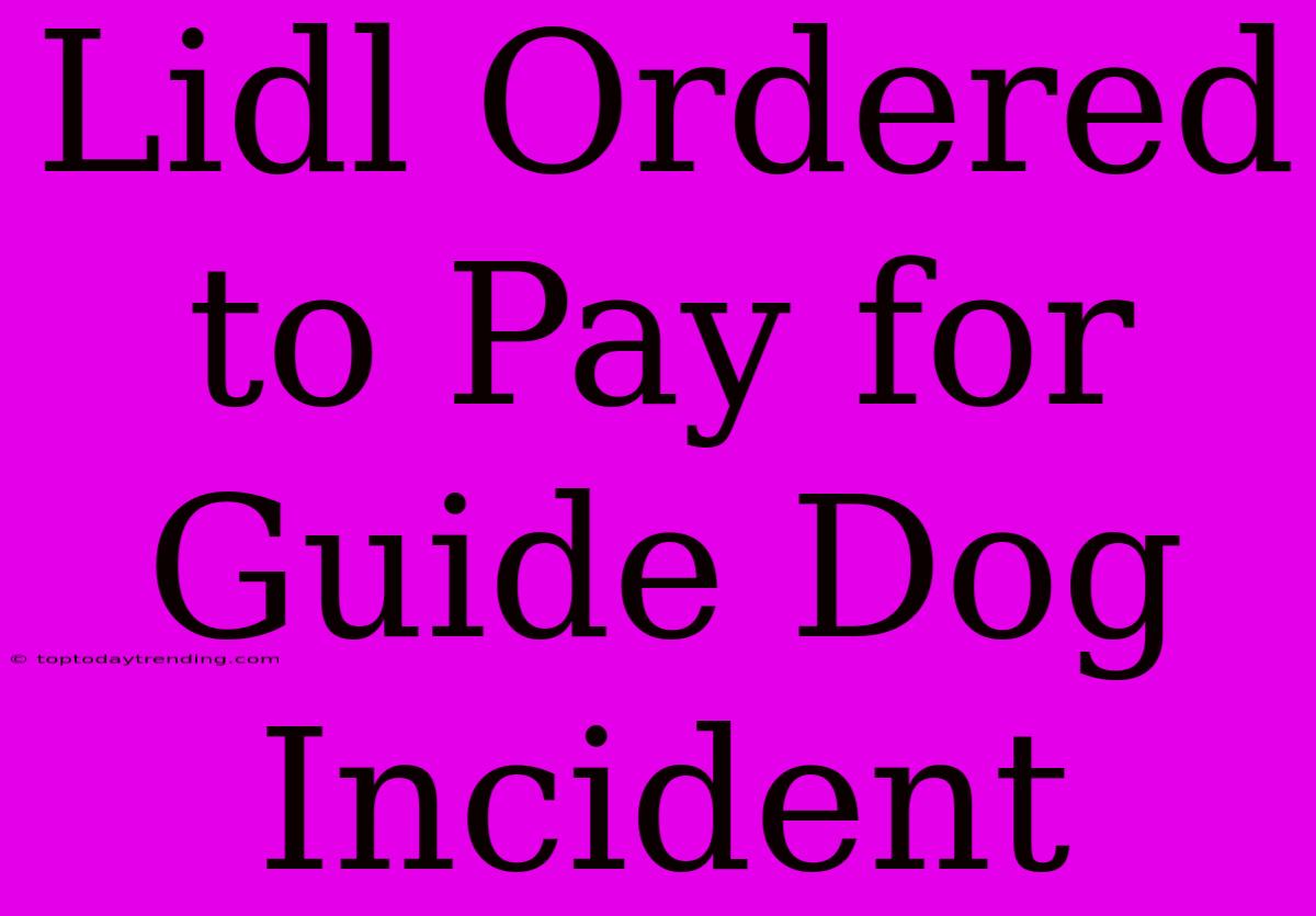 Lidl Ordered To Pay For Guide Dog Incident