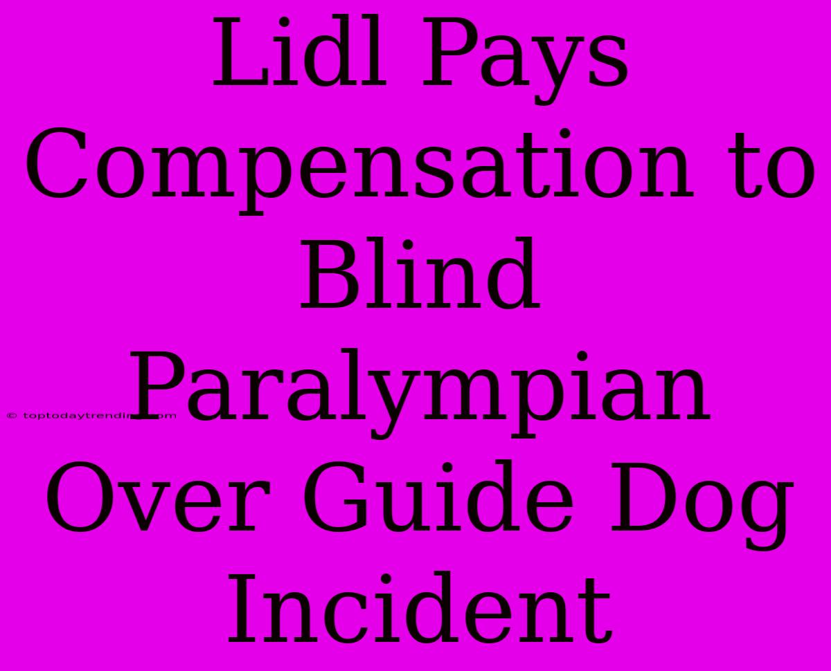 Lidl Pays Compensation To Blind Paralympian Over Guide Dog Incident