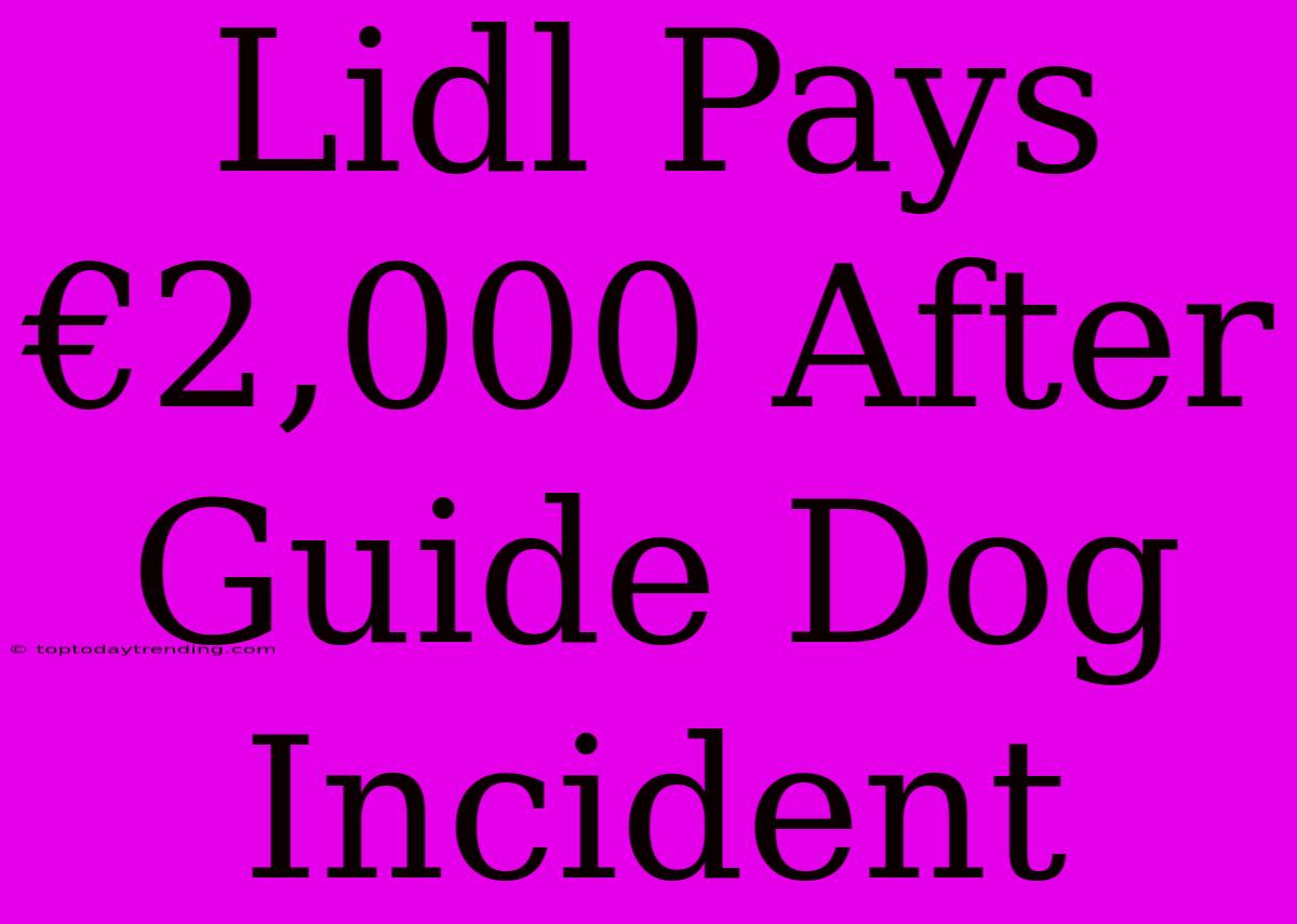 Lidl Pays €2,000 After Guide Dog Incident