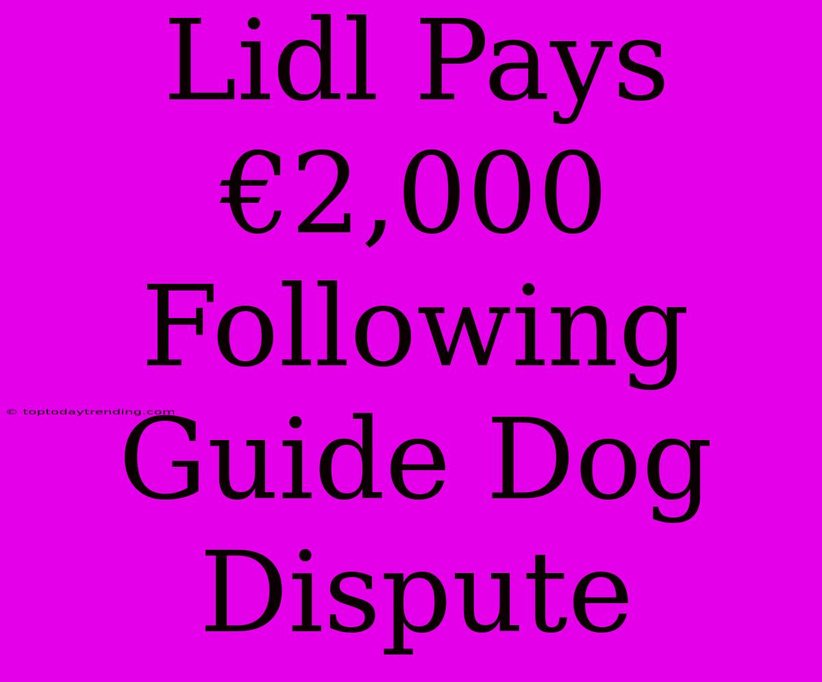 Lidl Pays €2,000 Following Guide Dog Dispute